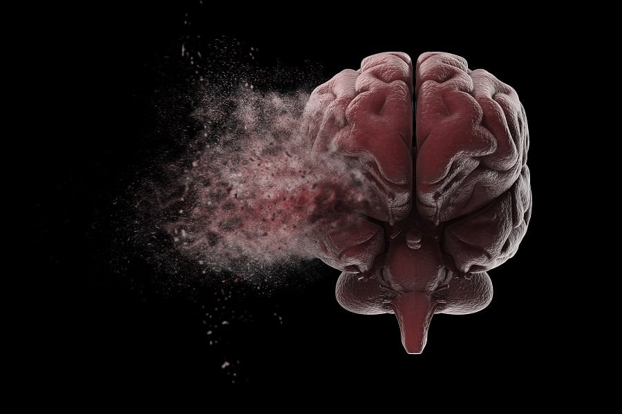 Human Brain