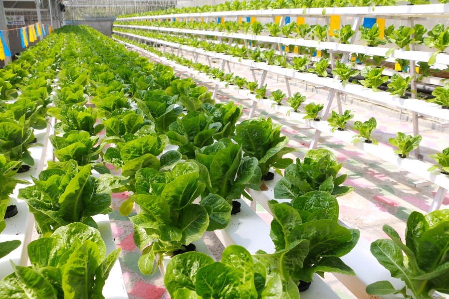 farming