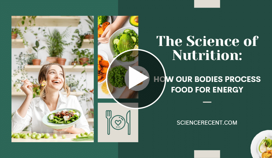 Nutrition