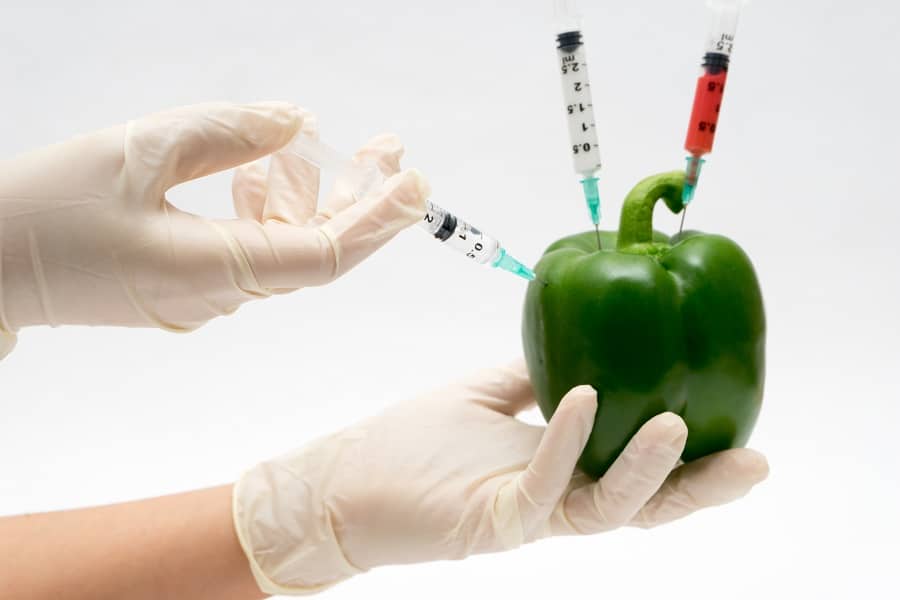 How GMOs Are Harming Your Health - Science Recent - Your Daily Science ...