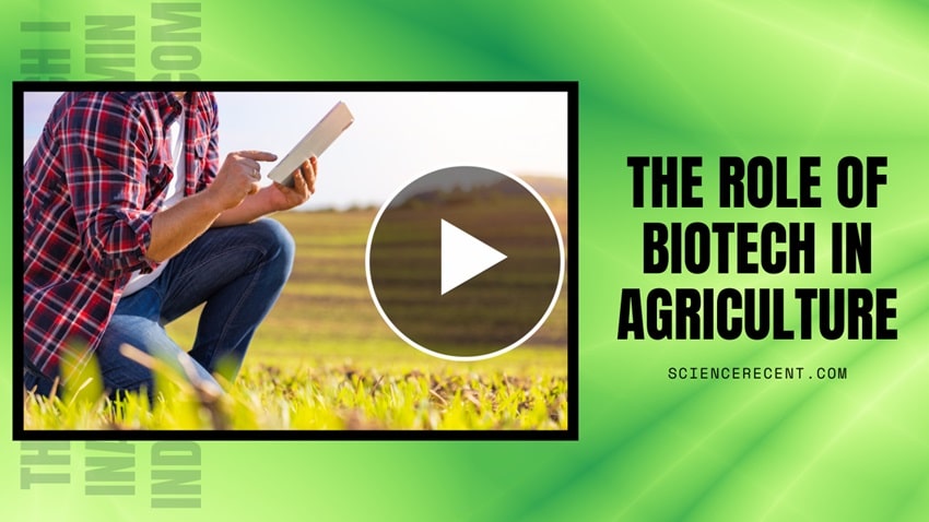 Biotech In Agriculture