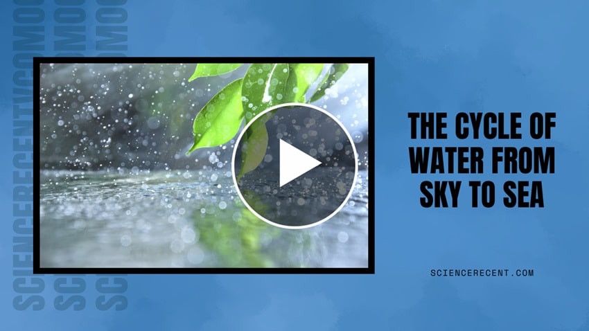 The Cycle Of Water